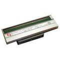 Honeywell PRINTHEAD 300 DPI EC501 XP