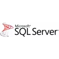 Microsoft Microsoft SQL CAL Single Software Assurance OLV 1 License NoLevel Additional Product UsrCAL 1Year Acquired year3