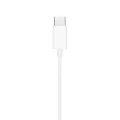 Apple EarPods USB-C