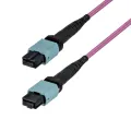 StarTech.com 5m MTP/MPO Fiber Cable OM4 12F Type-B