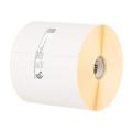 Zebra Z-PERFORM 1000D 100X210 MM LABEL ROLL