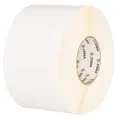 Zebra PolyPro 4000D DT Coat Perm Adh 50.8x50.8mm 19mm core Box of 20