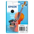 Epson Singlepack Black 250 ink